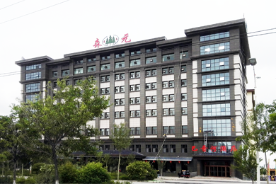 德令哈森元巴音河酒店富氧项目案例(海拔4305米)