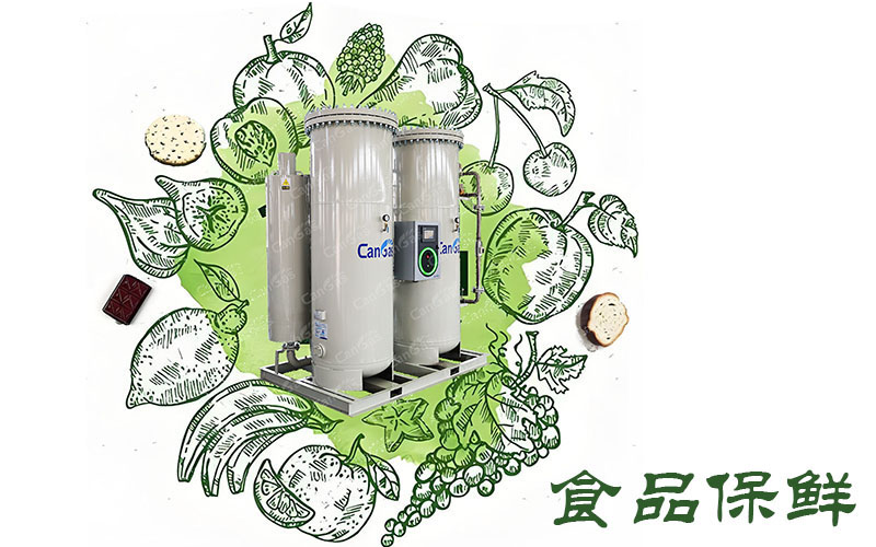 1715310957354552.jpg 食品保鲜用PSA制氮机该怎么选.jpg