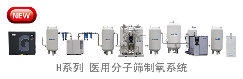 1737698608939025.jpg H系列 医用分子筛制氧系统99.5%高纯氧系统.jpg