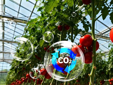 从气体分离到农作物增产:CO₂纯化技术驱动气肥应用